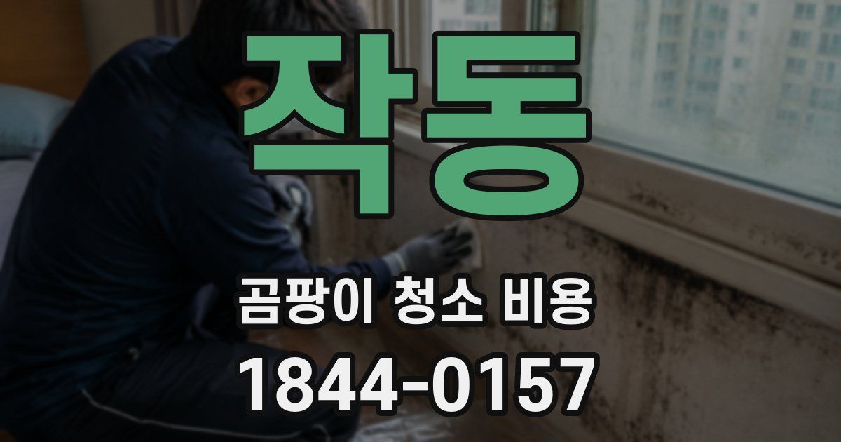 작동 곰팡이 청소 비용