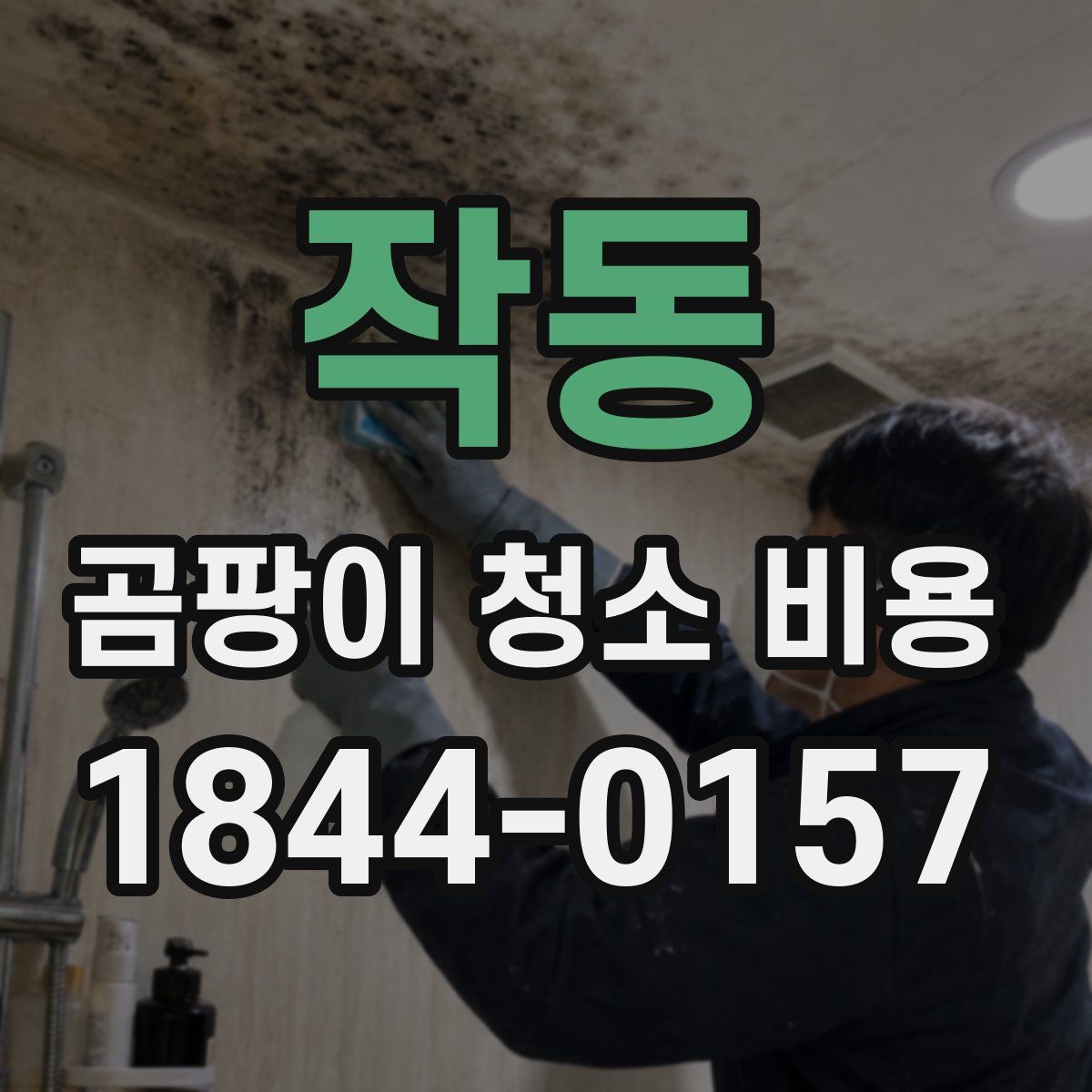 작동 곰팡이 청소 비용