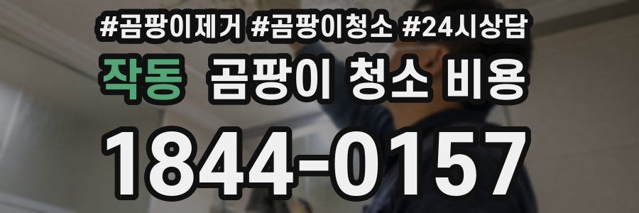 작동 곰팡이 청소 비용