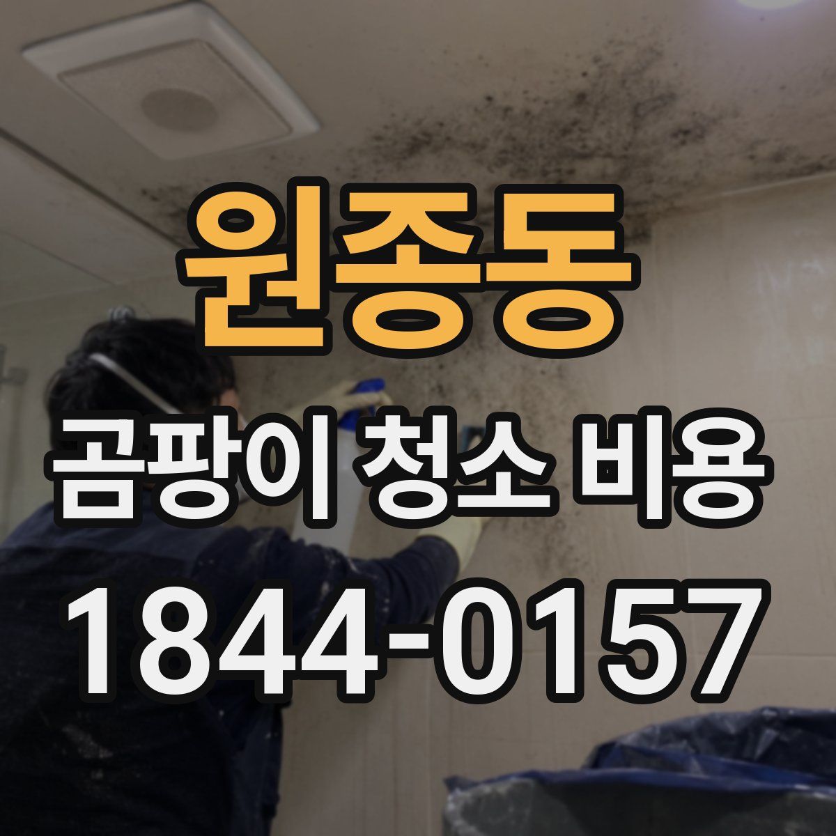 원종동 곰팡이 청소 비용