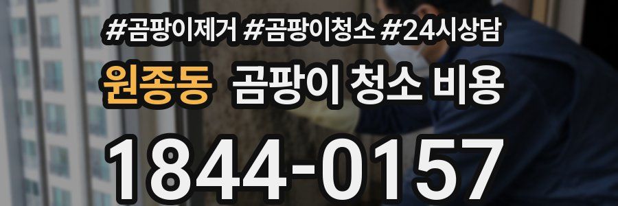 원종동 곰팡이 청소 비용
