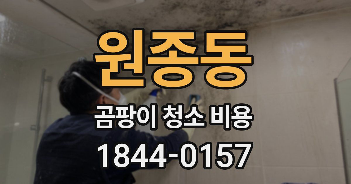 원종동 곰팡이 청소 비용