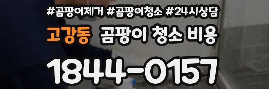 고강동 곰팡이 청소 비용