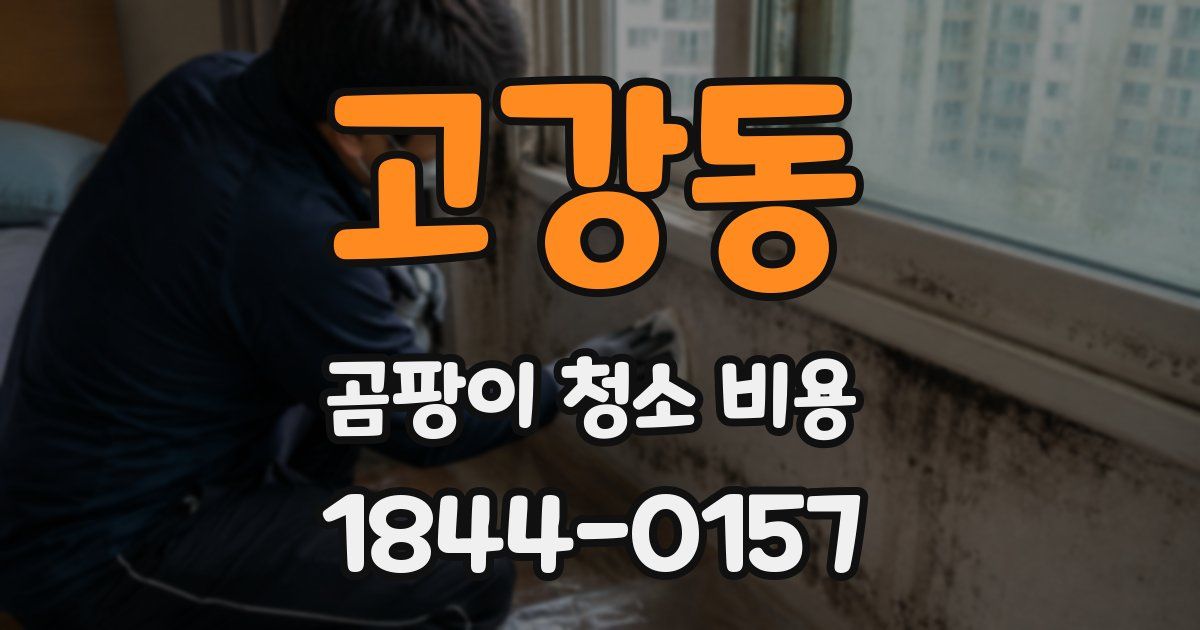 고강동 곰팡이 청소 비용