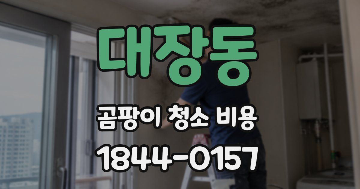 대장동 곰팡이 청소 비용