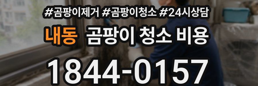 내동 곰팡이 청소 비용