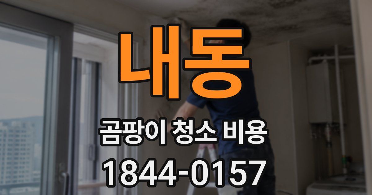 내동 곰팡이 청소 비용