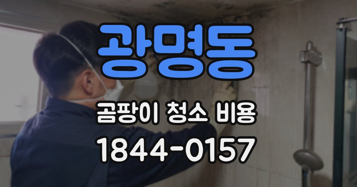 광명동 곰팡이 청소 비용