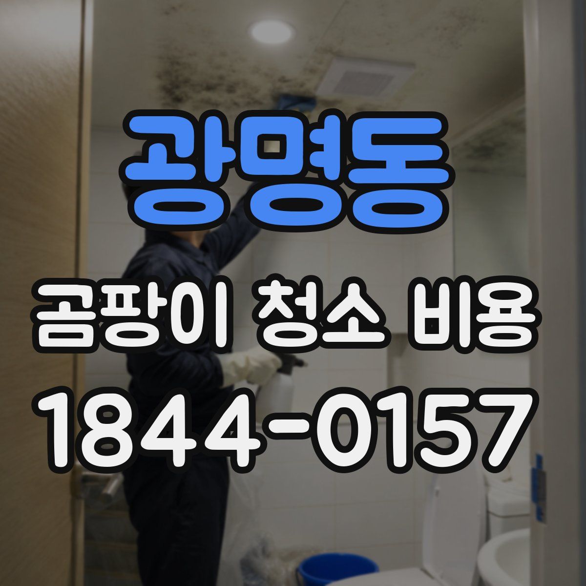 광명동 곰팡이 청소 비용