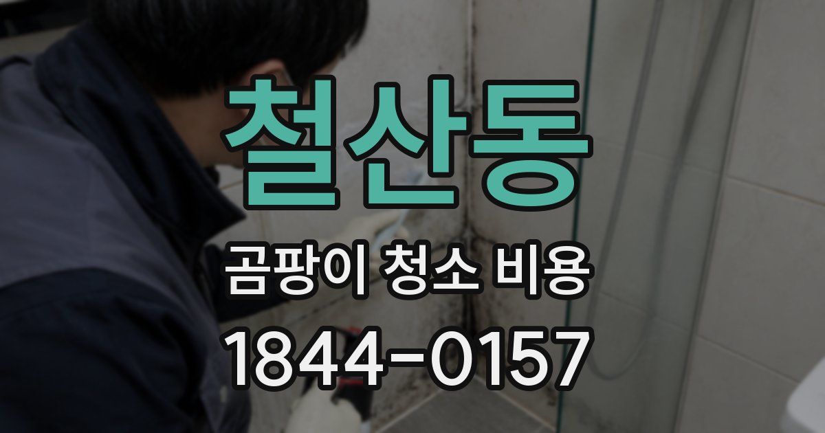 철산동 곰팡이 청소 비용