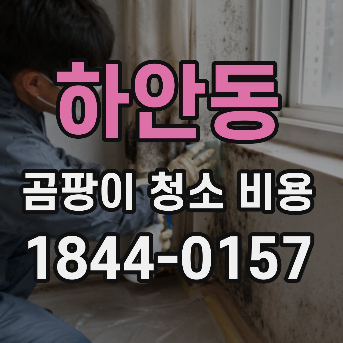 하안동 곰팡이 청소 비용