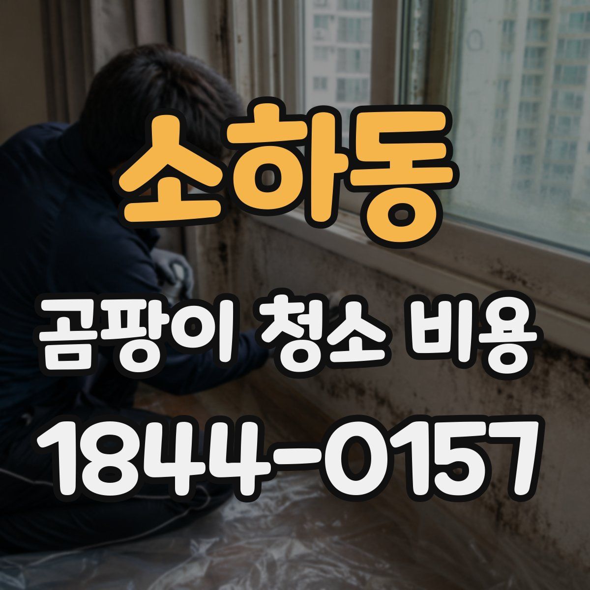 소하동 곰팡이 청소 비용