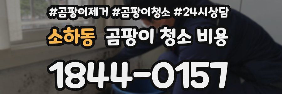 소하동 곰팡이 청소 비용