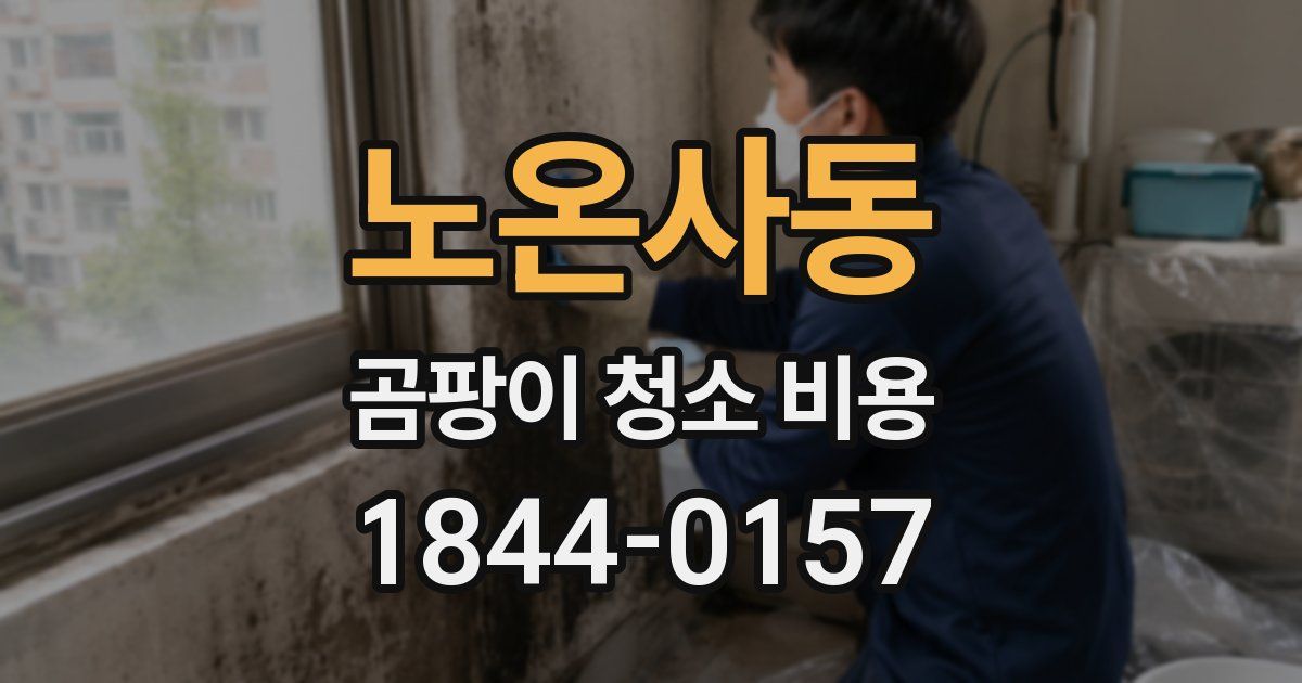 노온사동 곰팡이 청소 비용