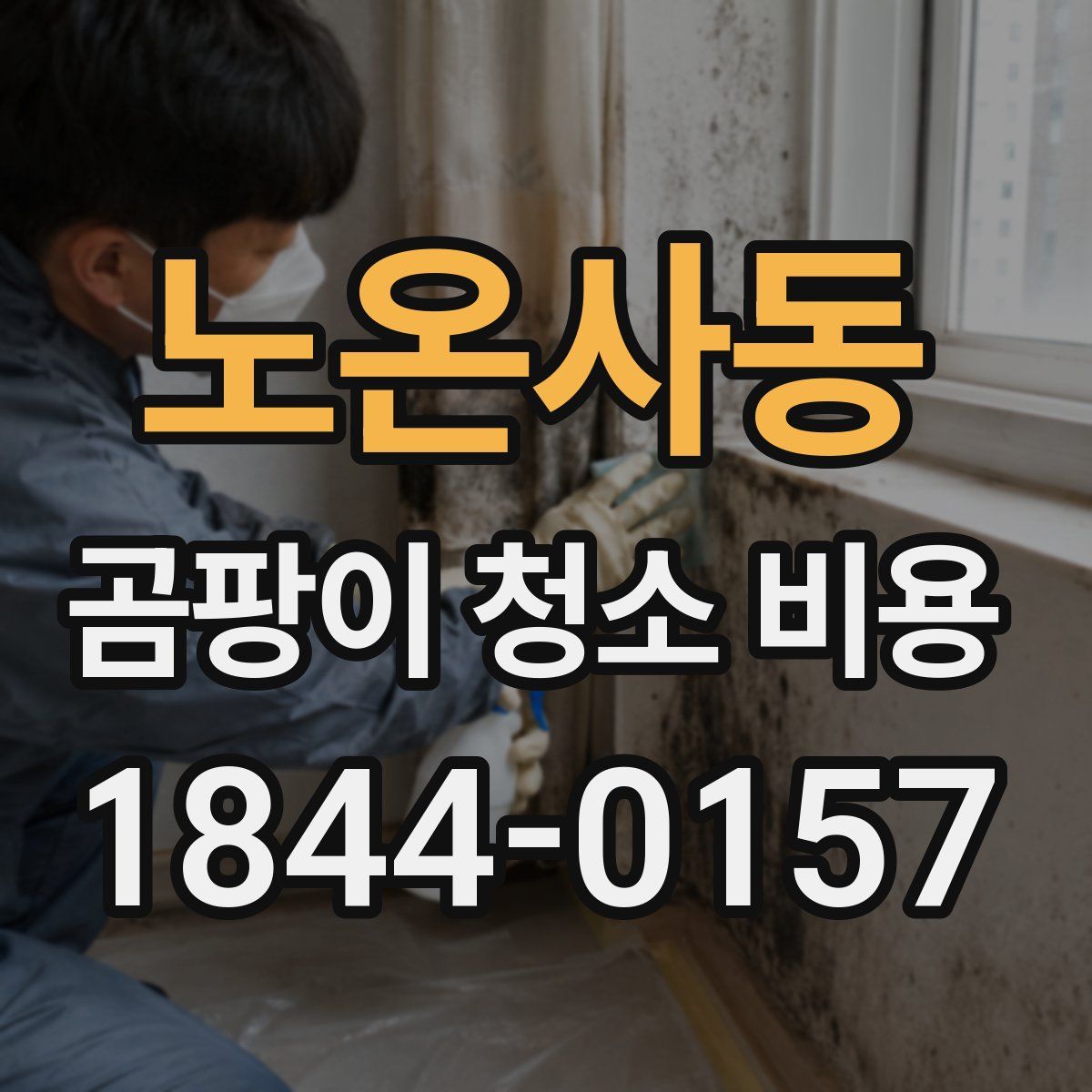 노온사동 곰팡이 청소 비용