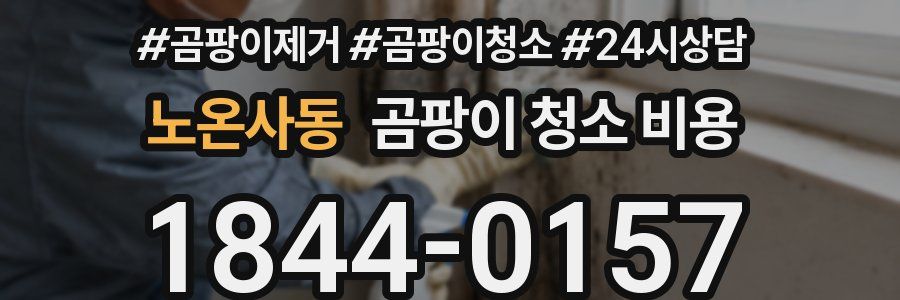 노온사동 곰팡이 청소 비용
