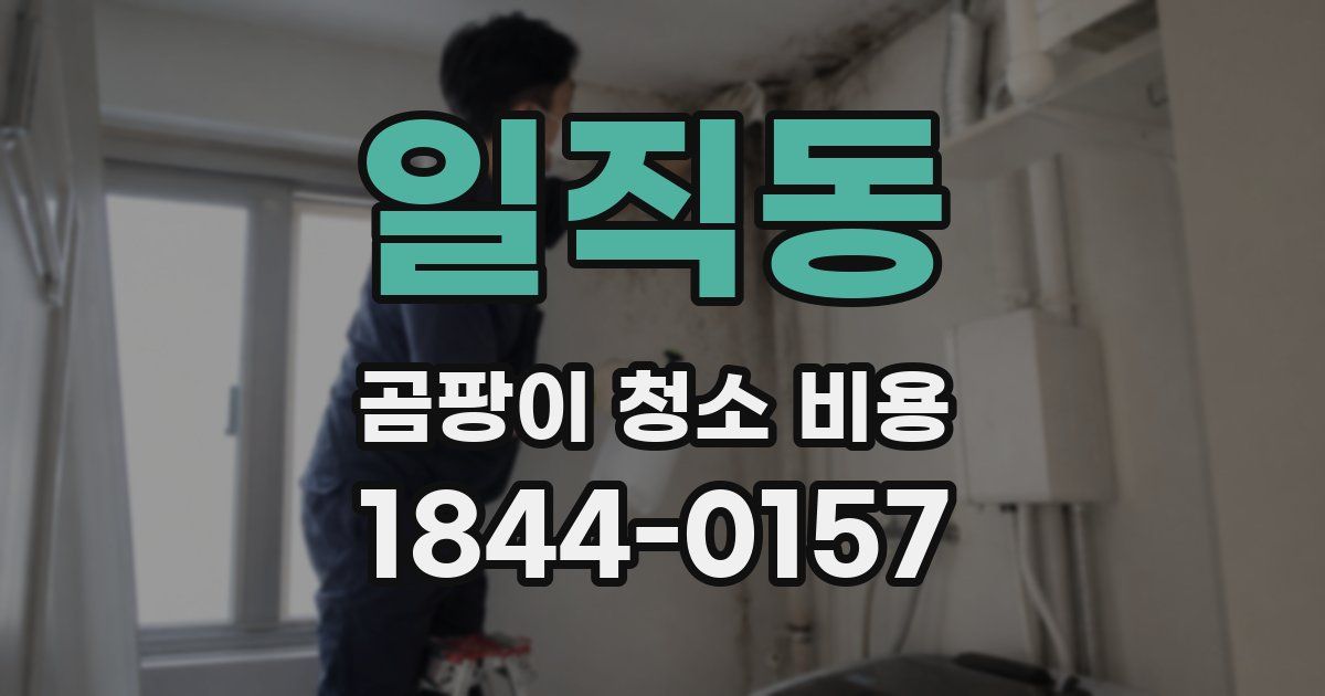 일직동 곰팡이 청소 비용