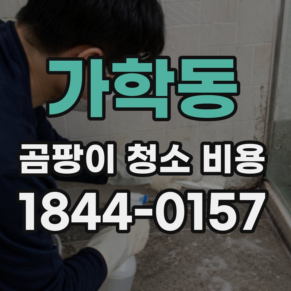 가학동 곰팡이 청소 비용