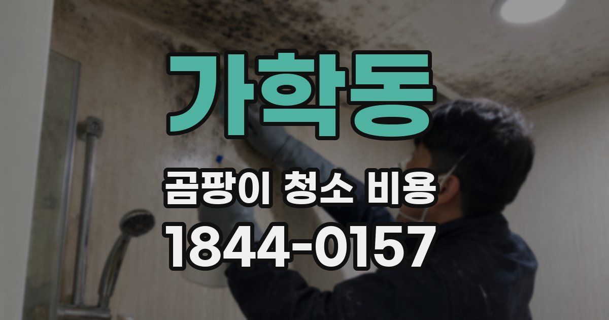 가학동 곰팡이 청소 비용