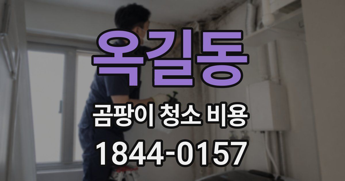 옥길동 곰팡이 청소 비용