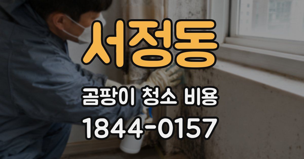 서정동 곰팡이 청소 비용
