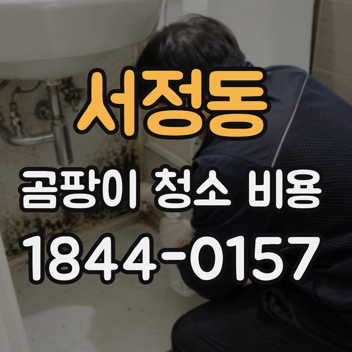 서정동 곰팡이 청소 비용