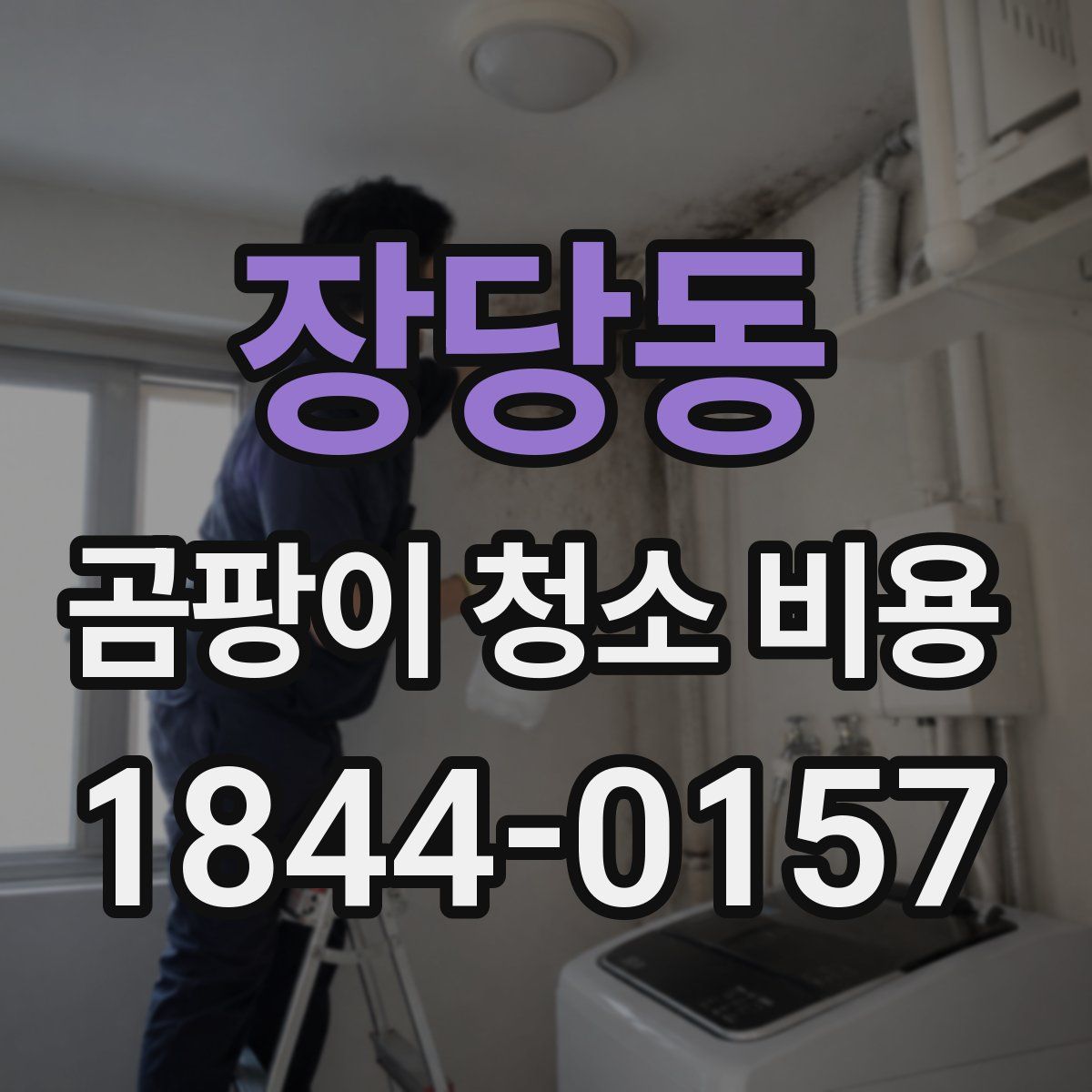 장당동 곰팡이 청소 비용
