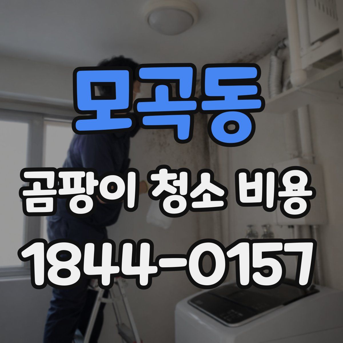모곡동 곰팡이 청소 비용