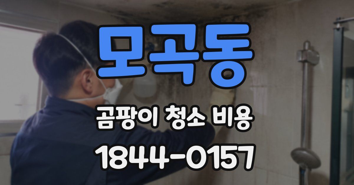 모곡동 곰팡이 청소 비용