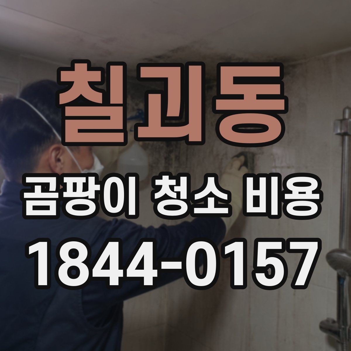 칠괴동 곰팡이 청소 비용 벽지 손상 정도에 따라 달라지는 실제 견적