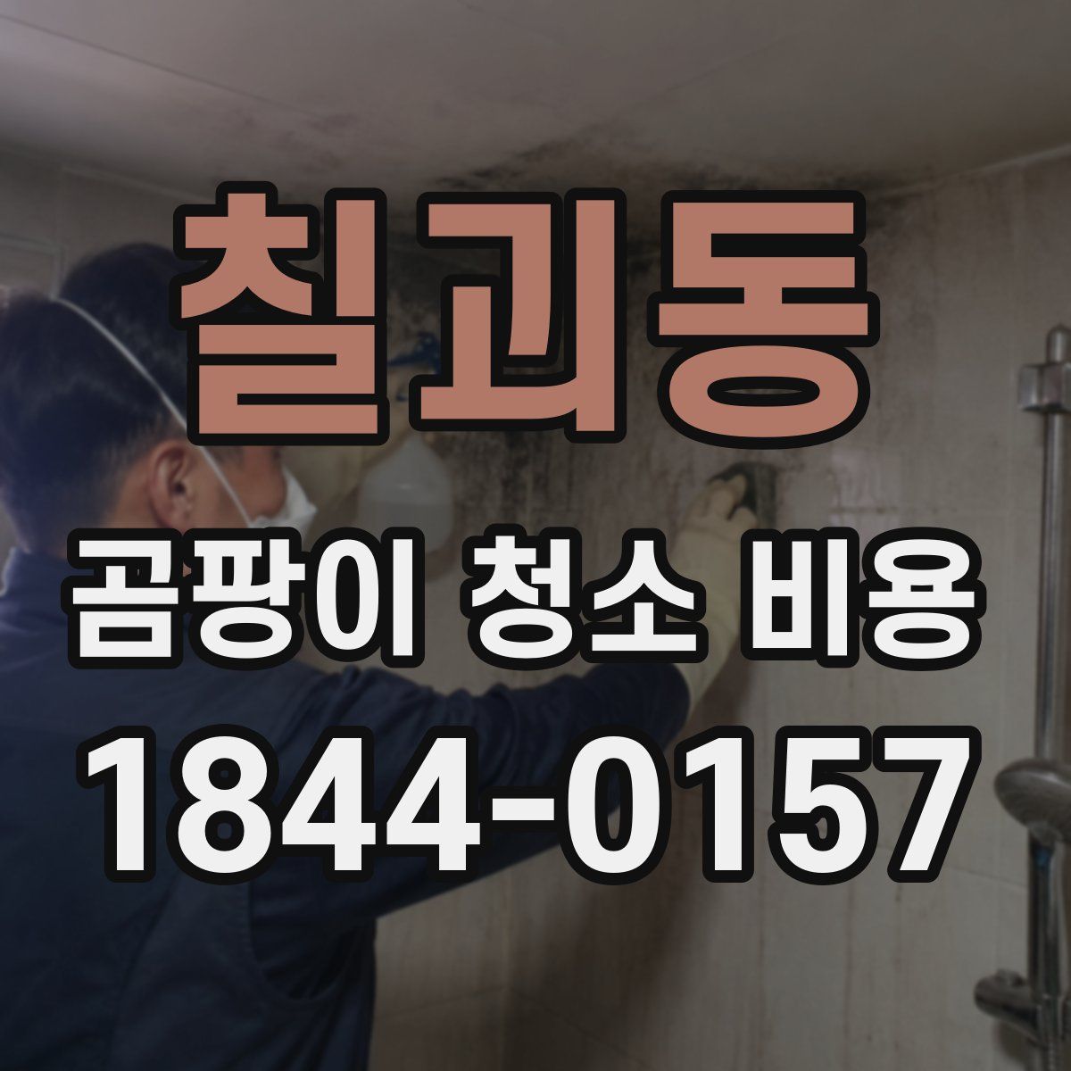 칠괴동 곰팡이 청소 비용