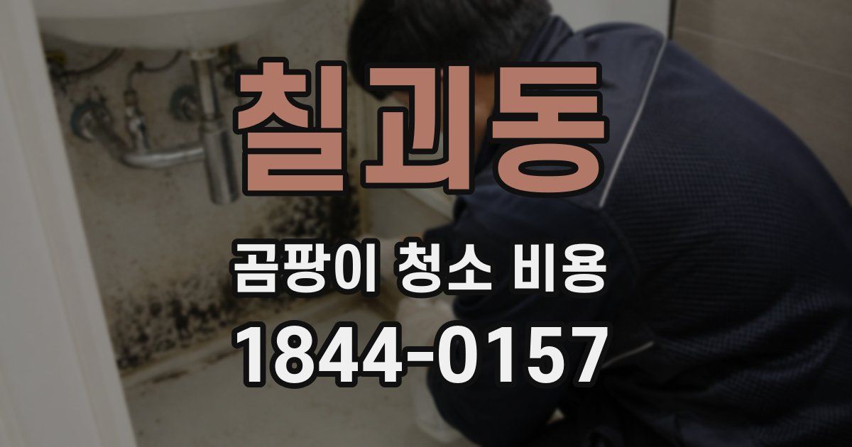칠괴동 곰팡이 청소 비용