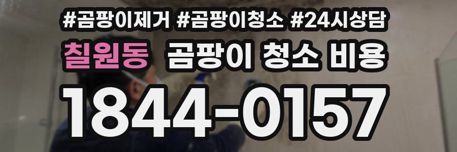 칠원동 곰팡이 청소 비용