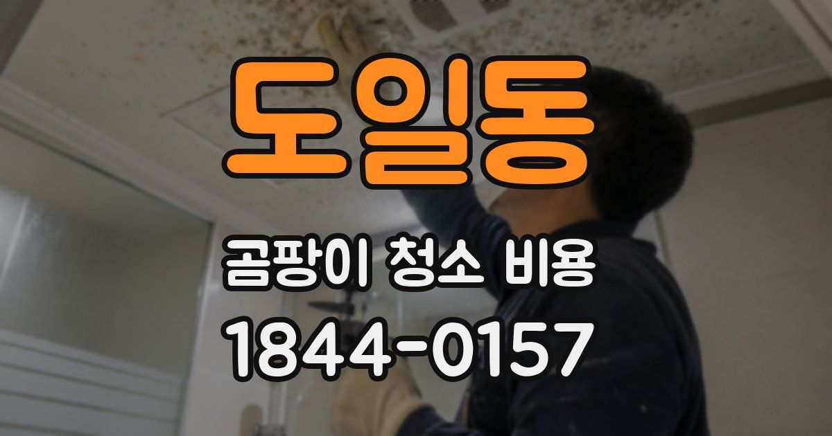 도일동 곰팡이 청소 비용