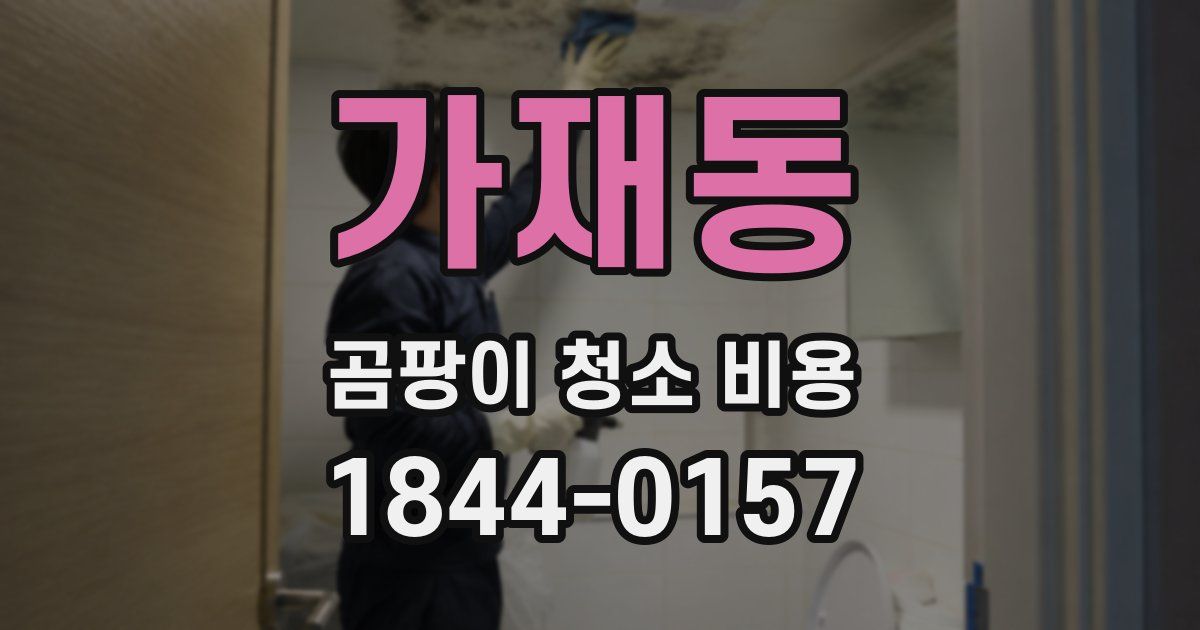 가재동 곰팡이 청소 비용