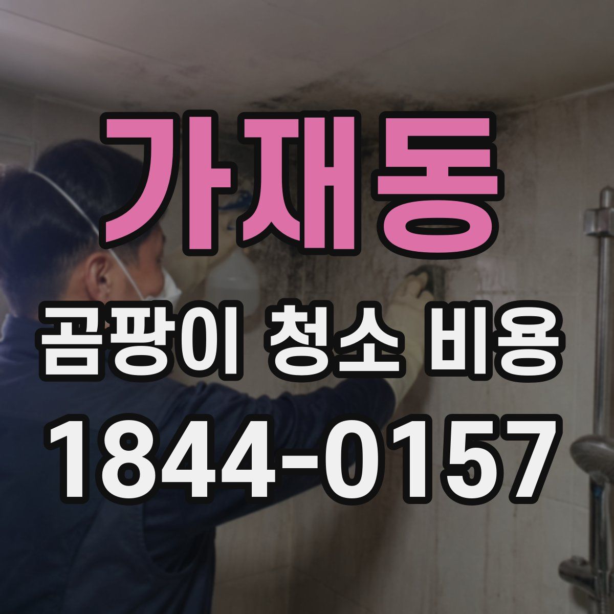가재동 곰팡이 청소 비용