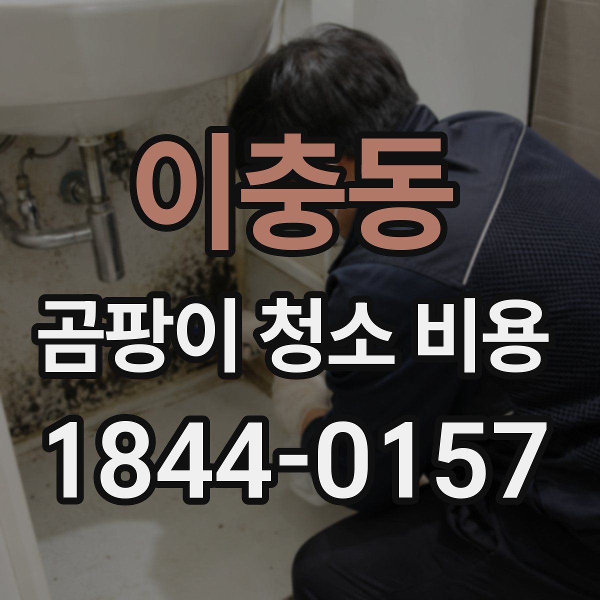 이충동 곰팡이 청소 비용 침실 벽면 오염이 심해질 때의 점검 순서