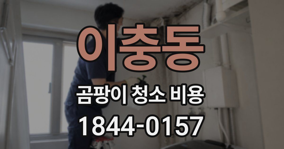이충동 곰팡이 청소 비용