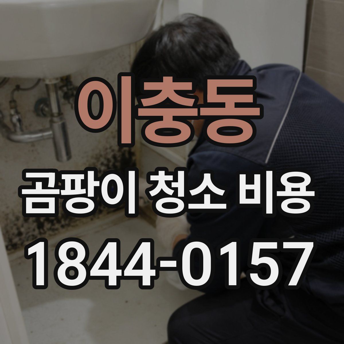 이충동 곰팡이 청소 비용