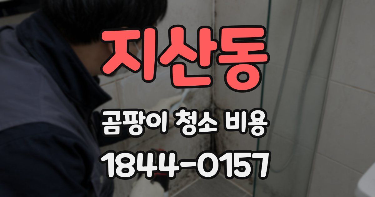 지산동 곰팡이 청소 비용