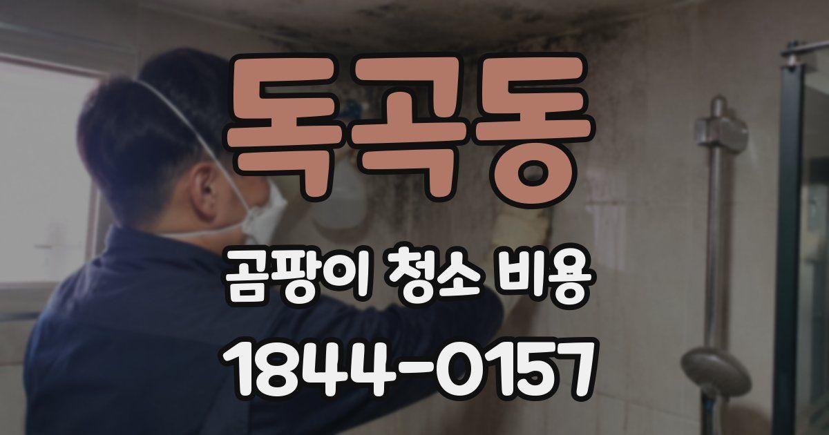 독곡동 곰팡이 청소 비용