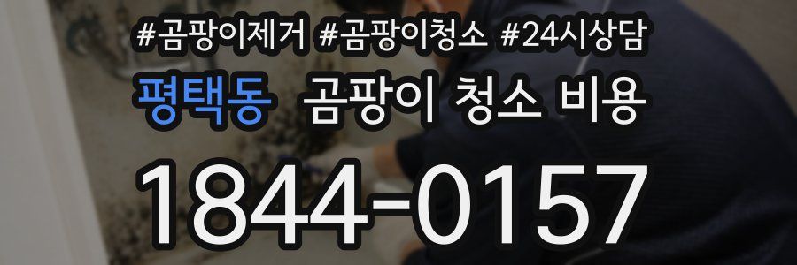 평택동 곰팡이 청소 비용
