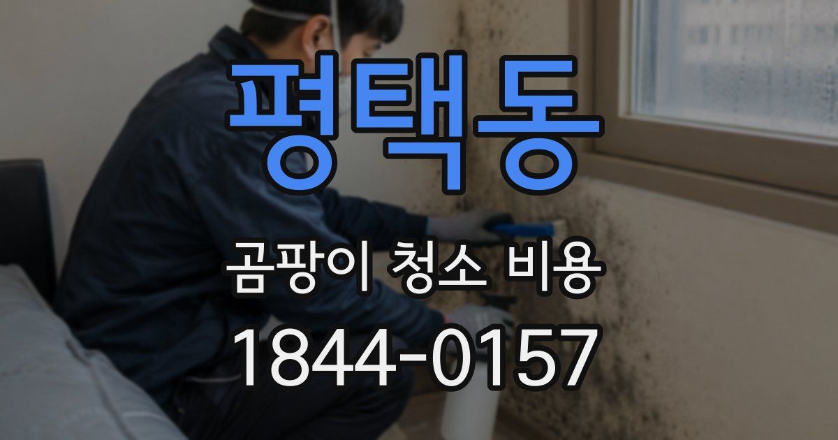 평택동 곰팡이 청소 비용