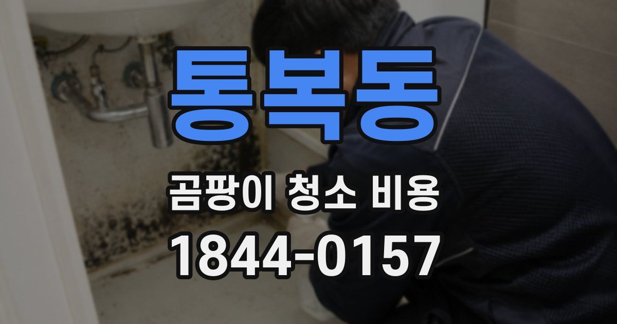 통복동 곰팡이 청소 비용