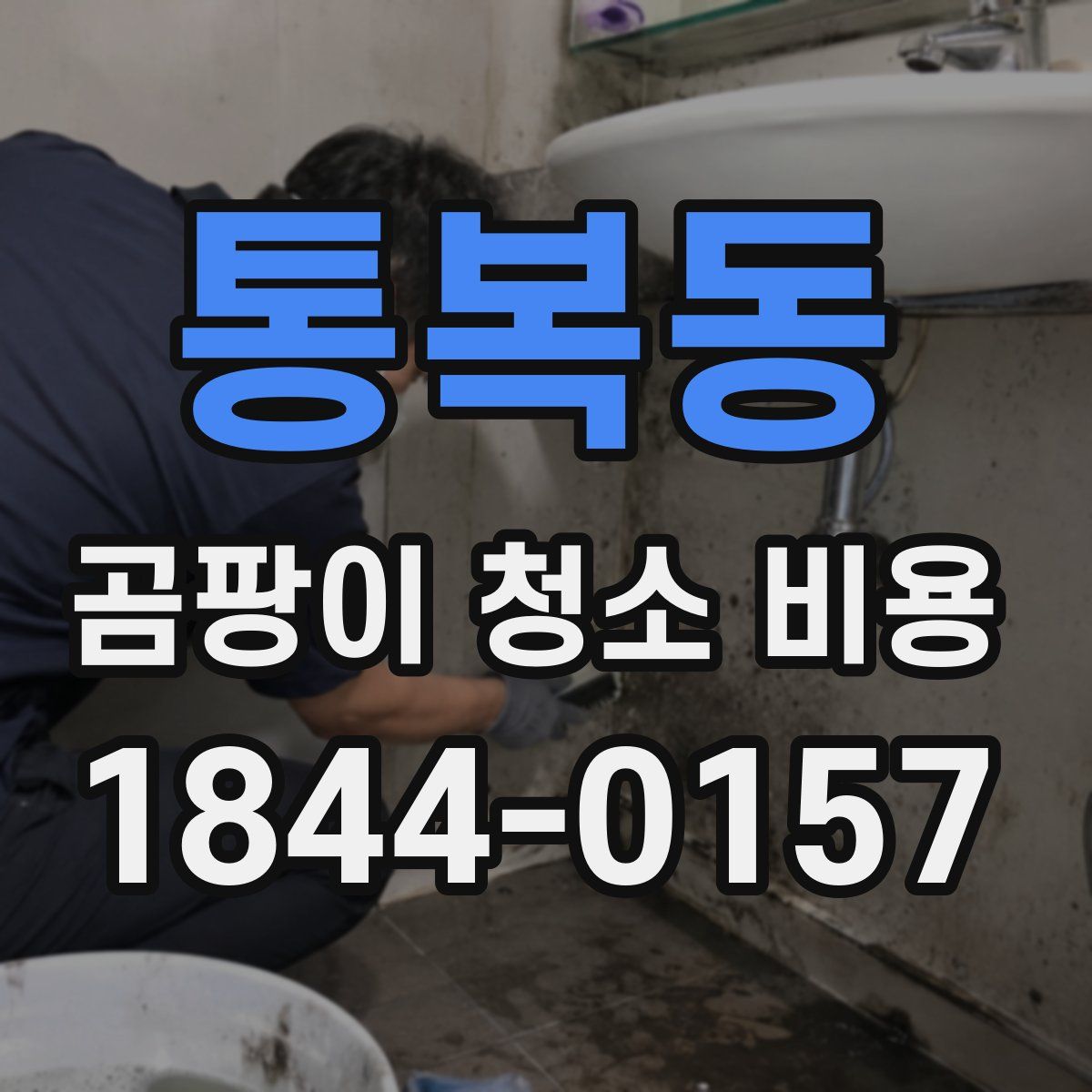 통복동 곰팡이 청소 비용
