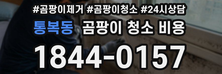 통복동 곰팡이 청소 비용