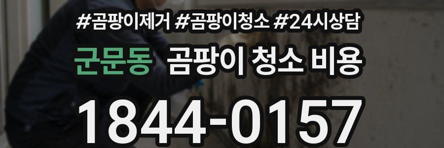 군문동 곰팡이 청소 비용