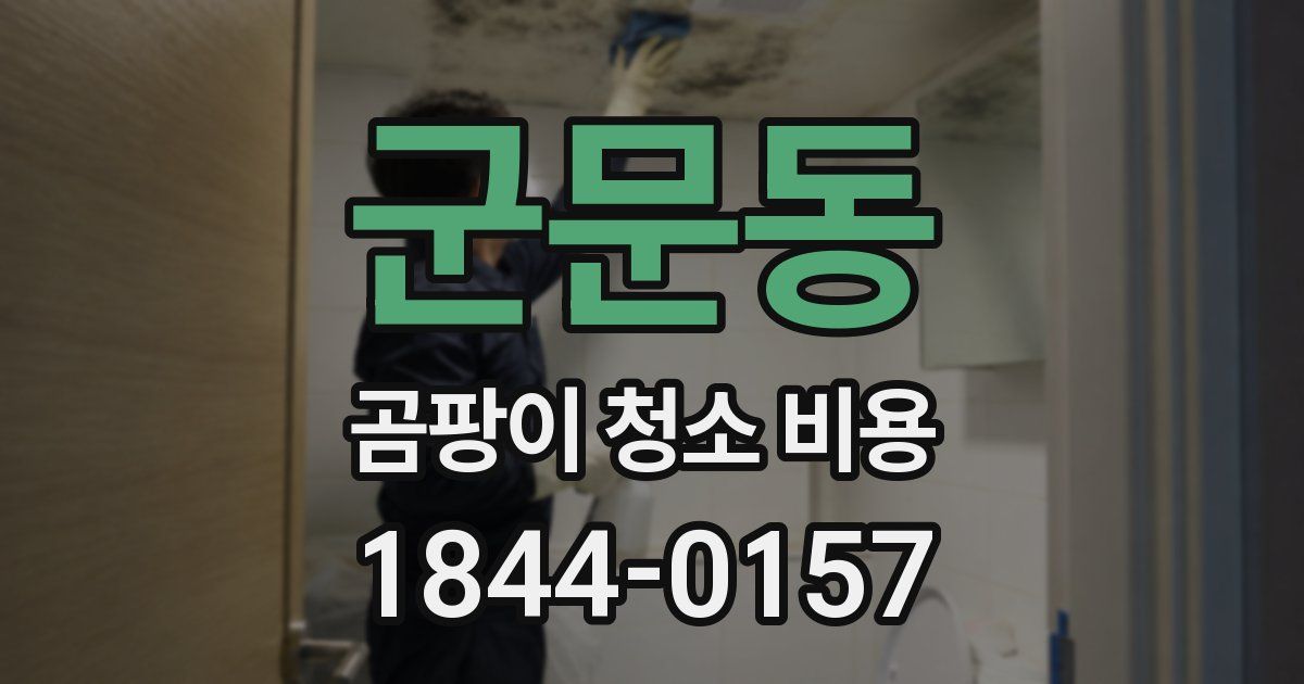 군문동 곰팡이 청소 비용