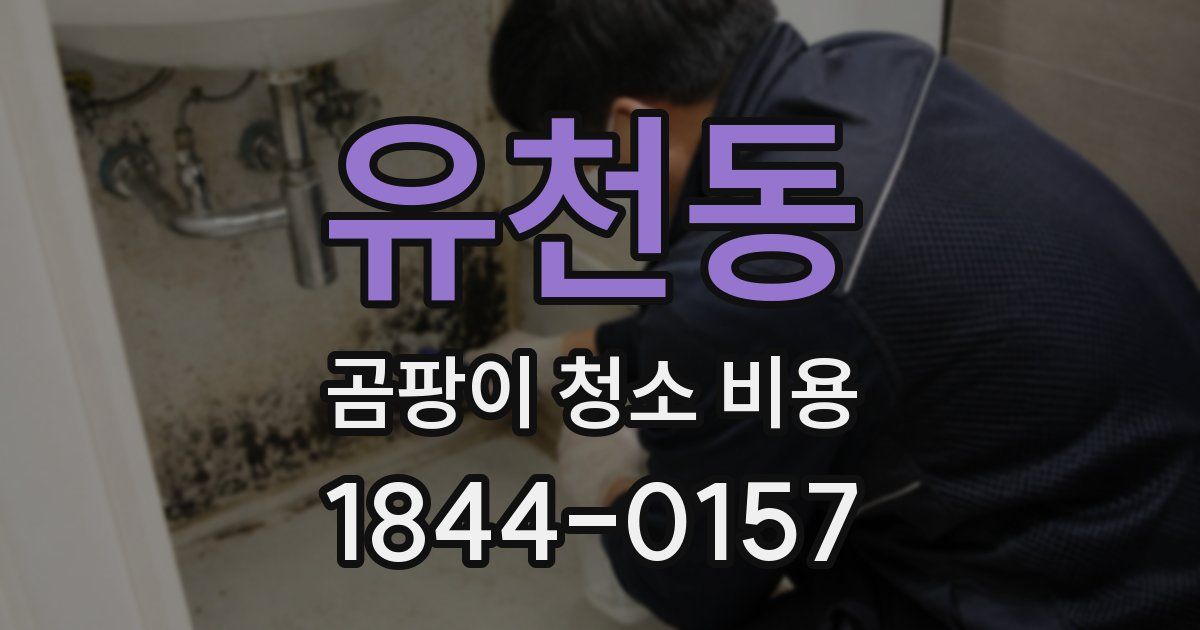 유천동 곰팡이 청소 비용