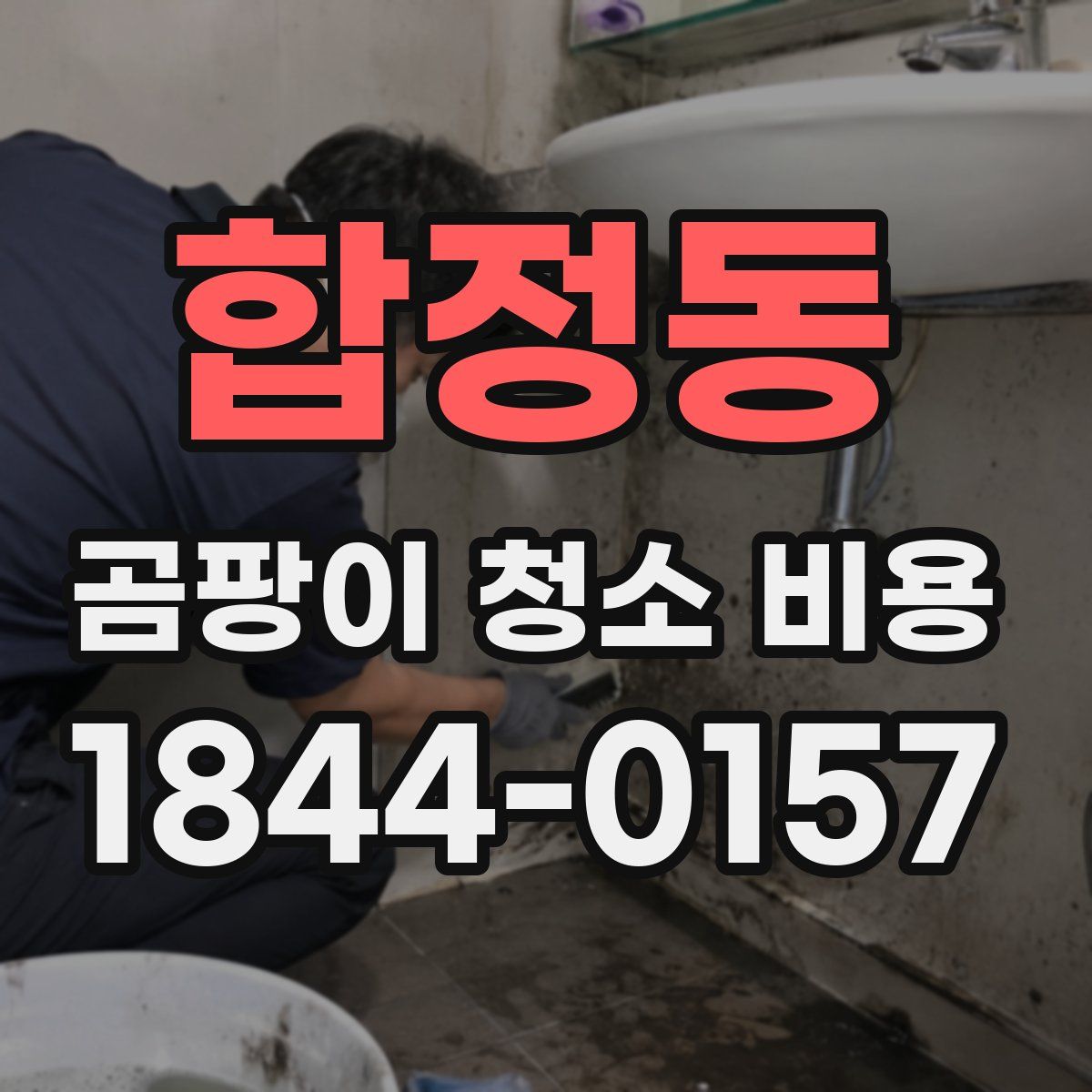 합정동 곰팡이 청소 비용